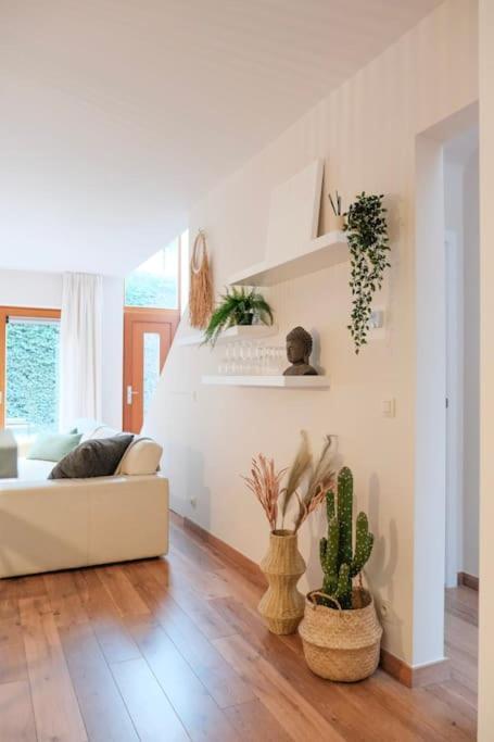 Appartement Tienne D'anvers Antwerpen