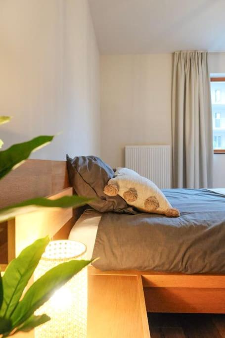 Appartement Tienne D'anvers